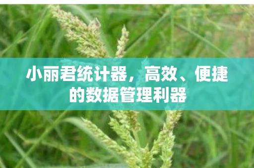 便捷的数据管理利器图片