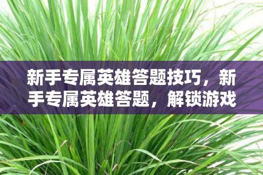新手专属英雄答题技巧,新手专属英雄答题,解锁游戏世界的奥秘 新手专属英雄答题技巧,新手专属英雄答题,解锁游戏世界的奥秘