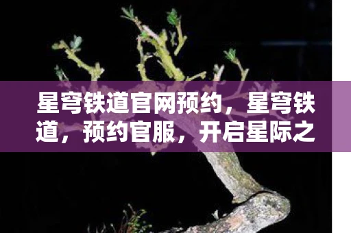 星穹铁道官网预约，星穹铁道，预约官服，开启星际之旅