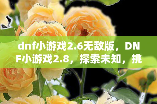 dnf小游戏2.6无敌版，DNF小游戏2.8，探索未知，挑战极限