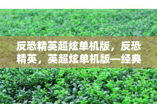 反恐精英超炫单机版,反恐精英,英超炫单机版—经典再现,挑战升级 反恐精英超炫单机版,反恐精英,英超炫单机版—经典再现,挑战升级