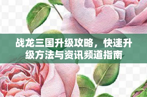 快速升级方法与资讯频道指南图片