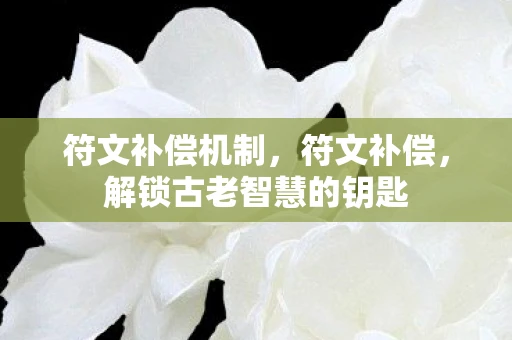 符文补偿机制，符文补偿，解锁古老智慧的钥匙