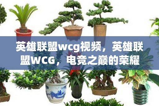 英雄联盟wcg视频，英雄联盟WCG，电竞之巅的荣耀之战