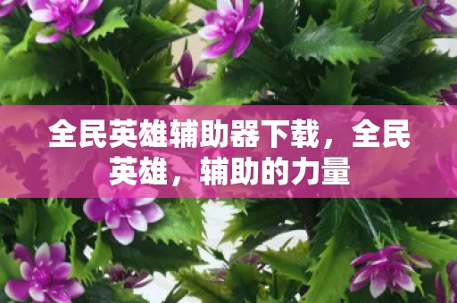 全民英雄辅助器下载，全民英雄，辅助的力量