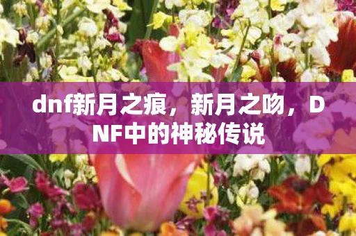 dnf新月之痕,新月之吻,DNF中的神秘传说 dnf新月之痕,新月之吻,DNF中的神秘传说