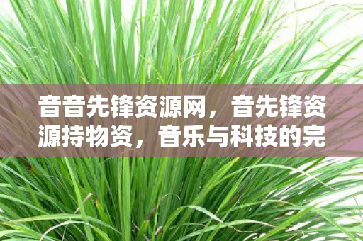 音音先锋资源网,音先锋资源持物资,音乐与科技的完美融合 音音先锋资源网,音先锋资源持物资,音乐与科技的完美融合