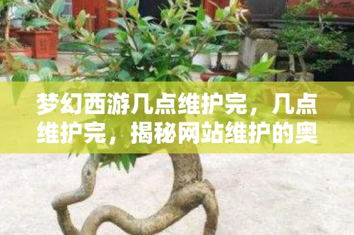 梦幻西游几点维护完,几点维护完,揭秘网站维护的奥秘 梦幻西游几点维护完,几点维护完,揭秘网站维护的奥秘