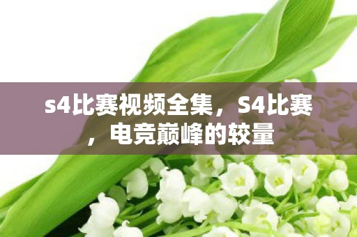 s4比赛视频全集，S4比赛，电竞巅峰的较量