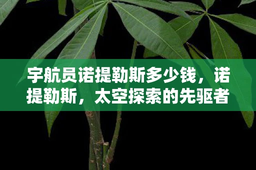 宇航员诺提勒斯多少钱，诺提勒斯，太空探索的先驱者