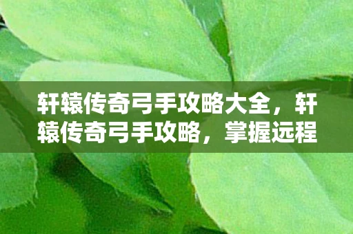 轩辕传奇弓手攻略大全,轩辕传奇弓手攻略,掌握远程攻击的艺术 轩辕传奇弓手攻略大全,轩辕传奇弓手攻略,掌握远程攻击的艺术