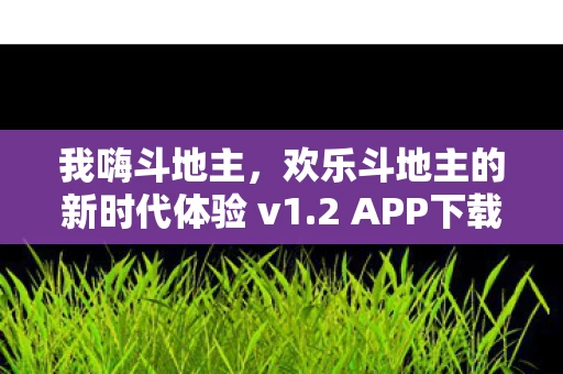 欢乐斗地主的新时代体验 v1图片