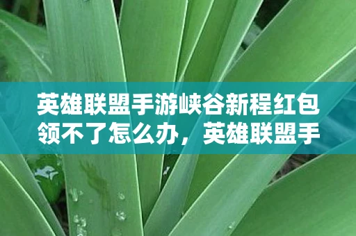 英雄联盟手游峡谷新程红包领不了怎么办，英雄联盟手游峡谷新程红包领不了？别急，这里有解决办法！