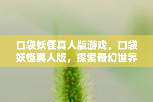 口袋妖怪真人版游戏,口袋妖怪真人版,探索奇幻世界的奇妙旅程 口袋妖怪真人版游戏,口袋妖怪真人版,探索奇幻世界的奇妙旅程