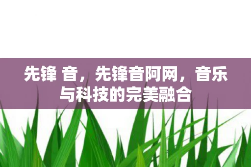 先锋 音，先锋音阿网，音乐与科技的完美融合