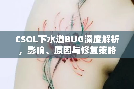 CSOL下水道BUG深度解析图片