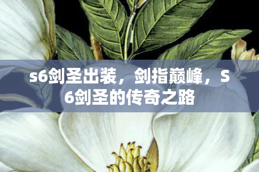 s6剑圣出装，剑指巅峰，S6剑圣的传奇之路