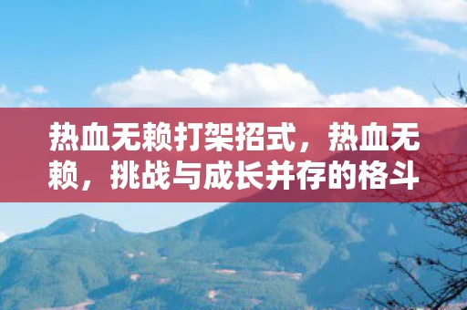 热血无赖打架招式，热血无赖，挑战与成长并存的格斗之旅