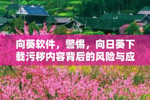 向葵软件，警惕，向日葵下载污秽内容背后的风险与应对