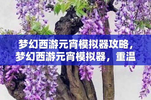 梦幻西游元宵模拟器攻略,梦幻西游元宵模拟器,重温经典,体验无限可能 梦幻西游元宵模拟器攻略,梦幻西游元宵模拟器,重温经典,体验无限可能