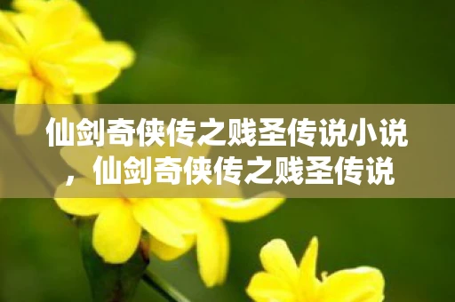 仙剑奇侠传之贱圣传说小说，仙剑奇侠传之贱圣传说