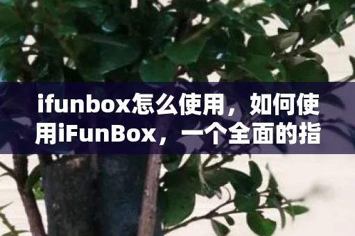 ifunbox怎么使用，如何使用iFunBox，一个全面的指南