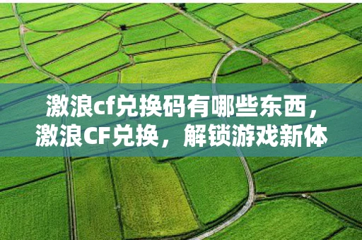 激浪cf兑换码有哪些东西，激浪CF兑换，解锁游戏新体验，畅享清凉夏日