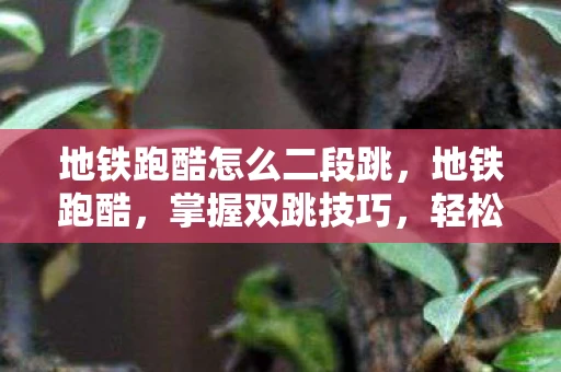 地铁跑酷怎么二段跳,地铁跑酷,掌握双跳技巧,轻松穿越障碍 地铁跑酷怎么二段跳,地铁跑酷,掌握双跳技巧,轻松穿越障碍