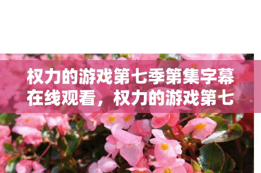 权力的游戏第七季第集字幕在线观看，权力的游戏第七季第X集字幕，一场权力的较量与命运的转折