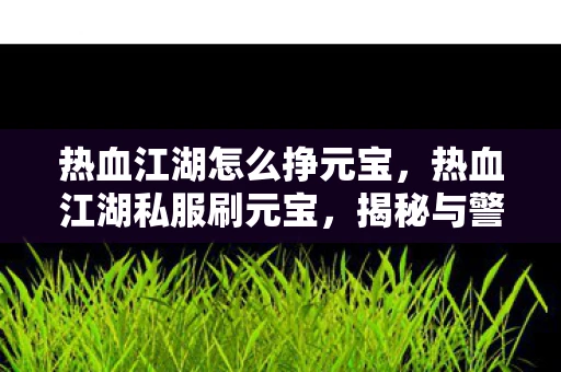 热血江湖怎么挣元宝，热血江湖私服刷元宝，揭秘与警示