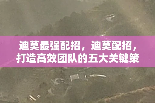迪莫最强配招,迪莫配招,打造高效团队的五大关键策略 迪莫最强配招,迪莫配招,打造高效团队的五大关键策略