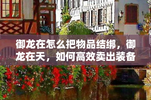 御龙在怎么把物品结绑,御龙在天,如何高效卖出装备 御龙在怎么把物品结绑,御龙在天,如何高效卖出装备