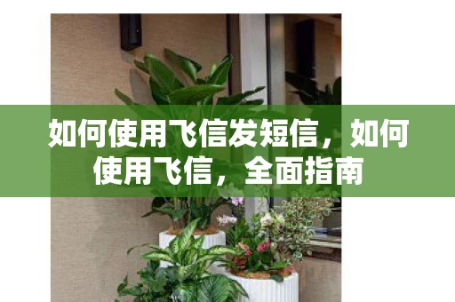 如何使用飞信发短信，如何使用飞信，全面指南