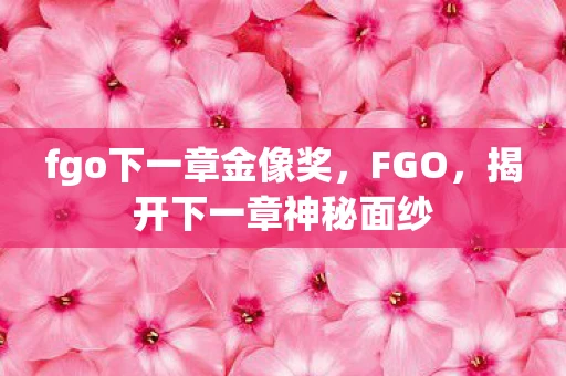 fgo下一章金像奖，FGO，揭开下一章神秘面纱