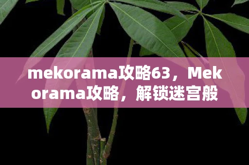 mekorama攻略63,Mekorama攻略,解锁迷宫般的解谜游戏 mekorama攻略63,Mekorama攻略,解锁迷宫般的解谜游戏
