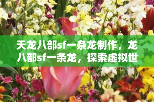 天龙八部sf一条龙制作，龙八部sf一条龙，探索虚拟世界的奇幻之旅
