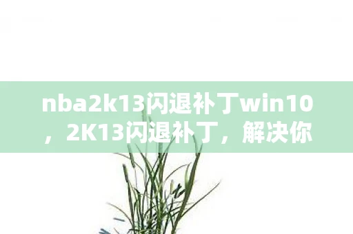 nba2k13闪退补丁win10，2K13闪退补丁，解决你的游戏烦恼