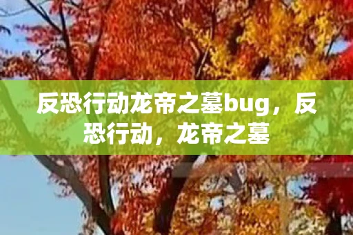 反恐行动龙帝之墓bug，反恐行动，龙帝之墓