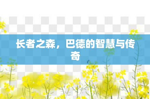 长者之森，巴德的智慧与传奇