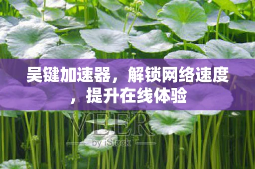 吴键加速器，解锁网络速度，提升在线体验