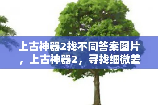 上古神器2找不同答案图片，上古神器2，寻找细微差异的挑战