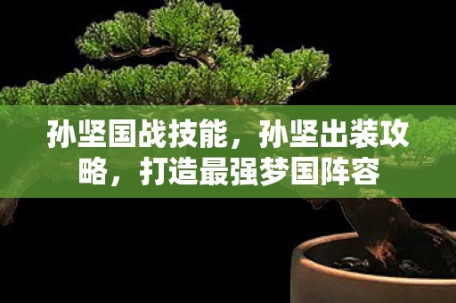 孙坚国战技能,孙坚出装攻略,打造最强梦国阵容 孙坚国战技能,孙坚出装攻略,打造最强梦国阵容