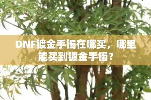 DNF镀金手镯在哪买，哪里能买到镀金手镯？