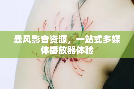 一站式多媒体播放器体验图片