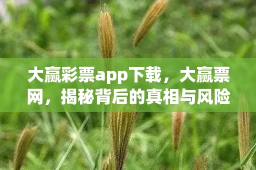 大赢彩票app下载,大赢票网,揭秘背后的真相与风险 大赢彩票app下载,大赢票网,揭秘背后的真相与风险