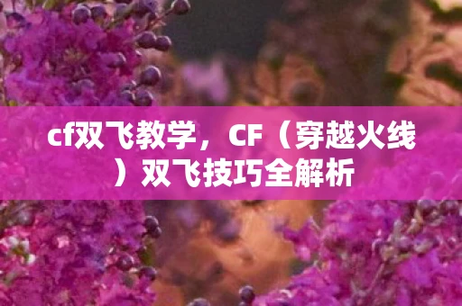 cf双飞教学,CF(穿越火线)双飞技巧全解析 cf双飞教学,CF(穿越火线)双飞技巧全解析