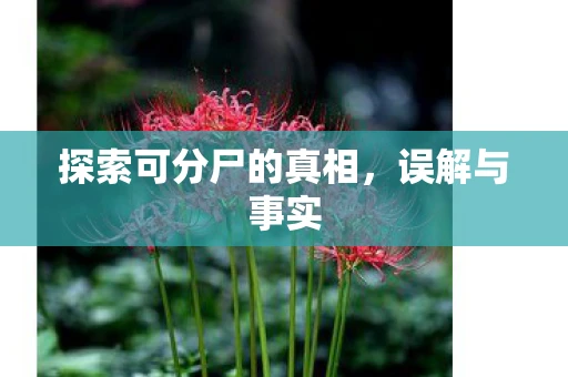 探索可分尸的真相，误解与事实