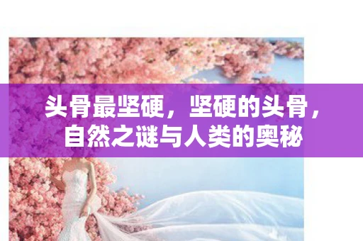 头骨最坚硬,坚硬的头骨,自然之谜与人类的奥秘 头骨最坚硬,坚硬的头骨,自然之谜与人类的奥秘