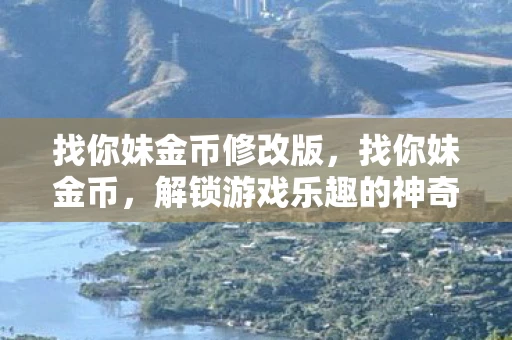 找你妹金币修改版，找你妹金币，解锁游戏乐趣的神奇钥匙