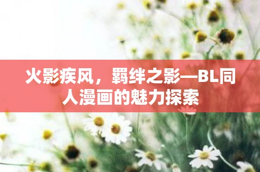 BL同人漫画的魅力探索图片